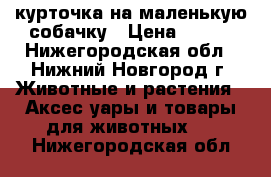 курточка на маленькую собачку › Цена ­ 500 - Нижегородская обл., Нижний Новгород г. Животные и растения » Аксесcуары и товары для животных   . Нижегородская обл.